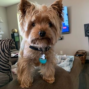 Meet your Posher, Maria